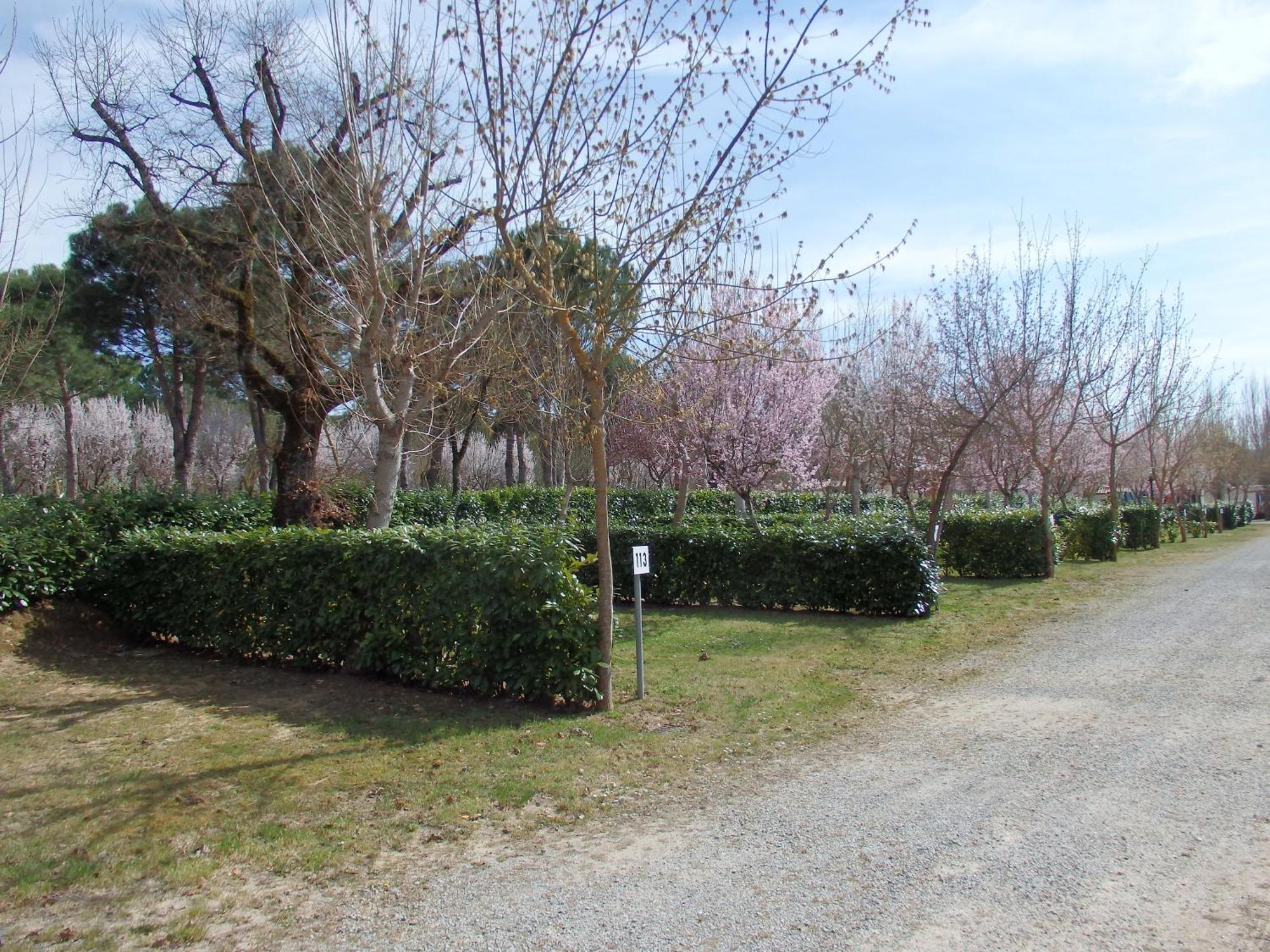 Camping Village La Chiocciola Capannole Buitenkant foto