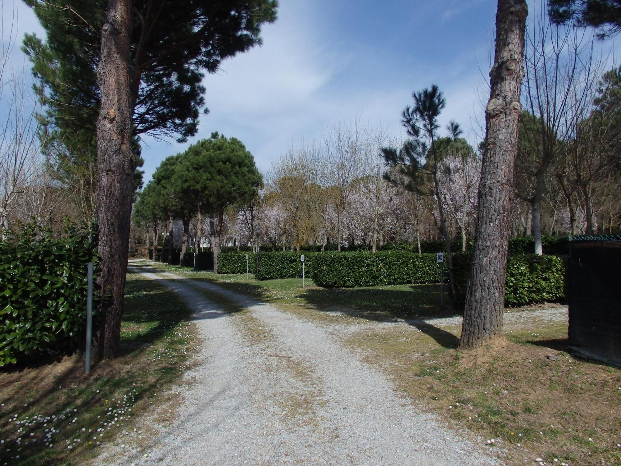 Camping Village La Chiocciola Capannole Buitenkant foto